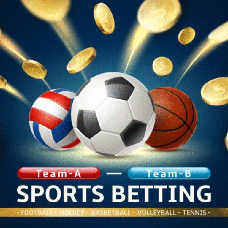 Sports Betting Platforms India: A Checklist for New Users