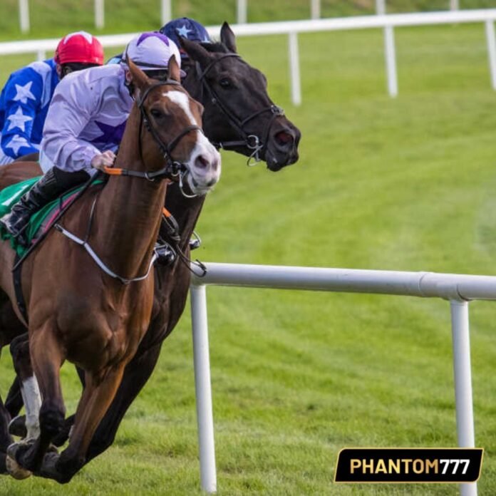 Horse Racing Betting: Unlocking Daily Double Long-Shots