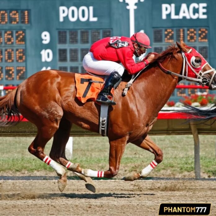 How Horse Racing Works Rules, Formats, and Race Types How Horse Racing Works: Rules, Formats, and Race Types