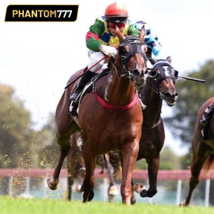 Beginner's Guide to Horse Racing Betting Markets